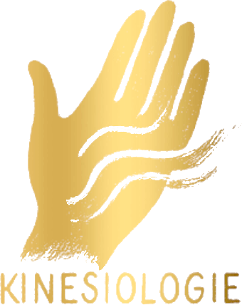 kinesiologie